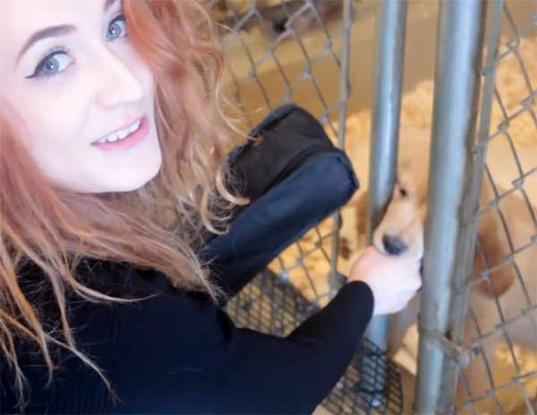 Janet Devlin Happy Holidays Puppies December Daze Christmas Music